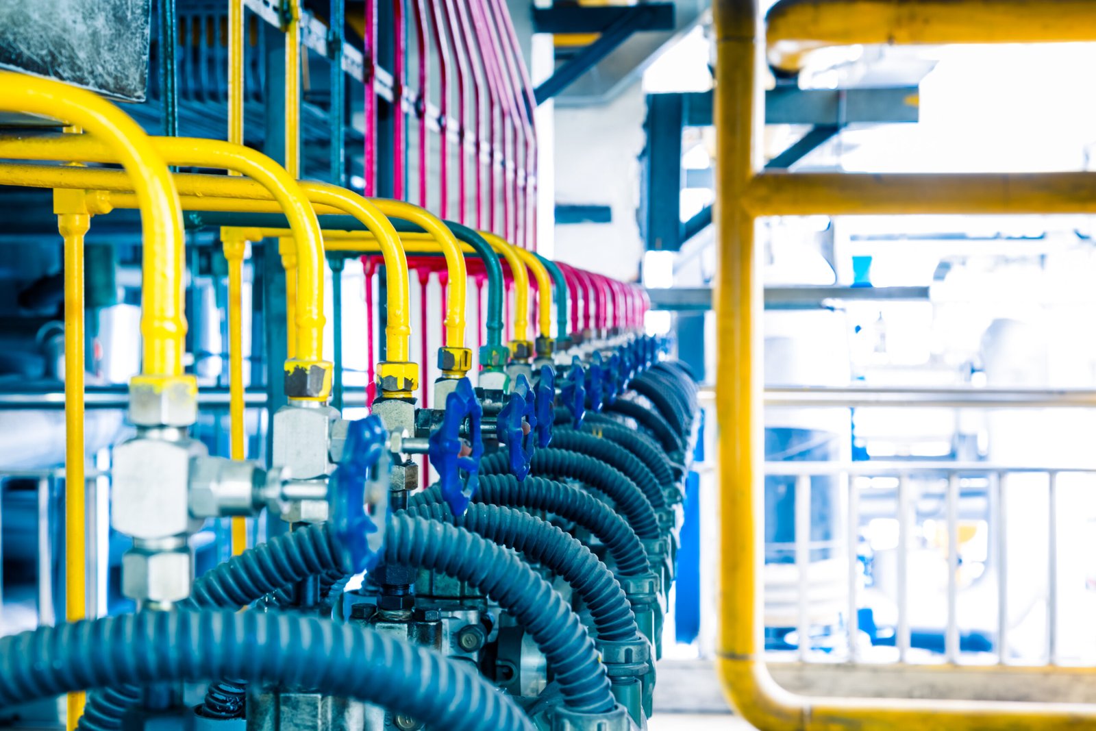 Commercial Gas Safety Certificate Booking Commercial Gas Safety Certificate Booking